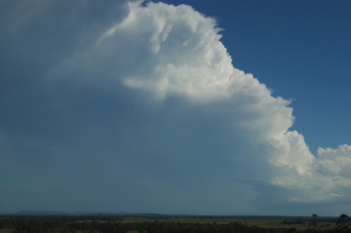 thunderstorm cumulonimbus_incus : Parrots Nest, NSW   2 March 2007