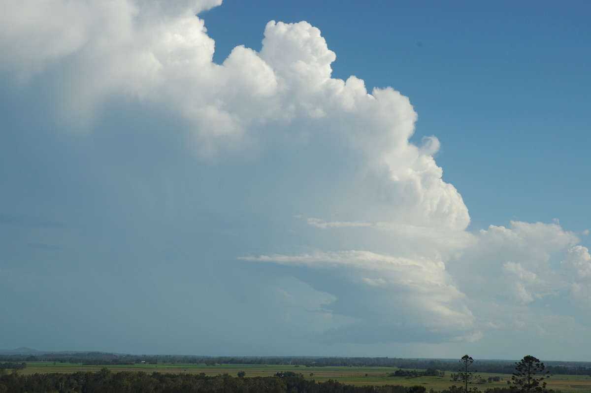 thunderstorm cumulonimbus_incus : Parrots Nest, NSW   2 March 2007