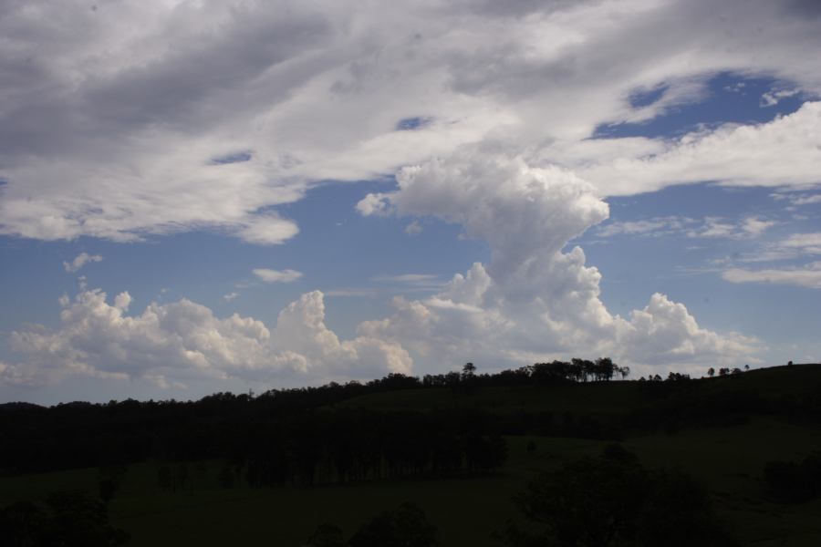 cumulus congestus : N of Stroud, NSW   4 March 2007