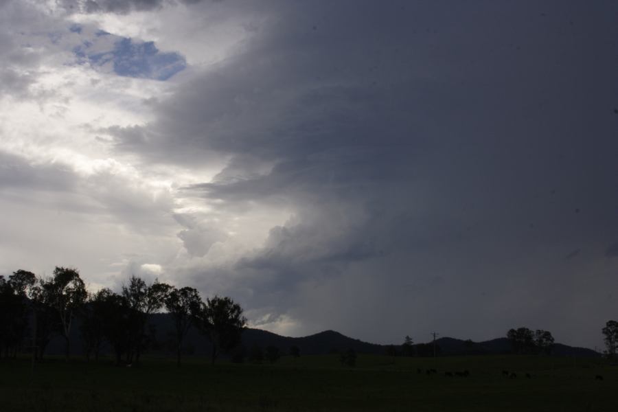 updraft thunderstorm_updrafts : N of Stroud, NSW   4 March 2007