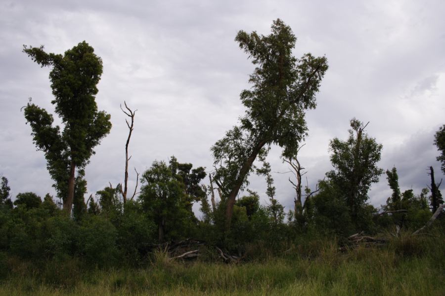 disasters storm_damage : 20km E of Coonabarabran, NSW   5 March 2007