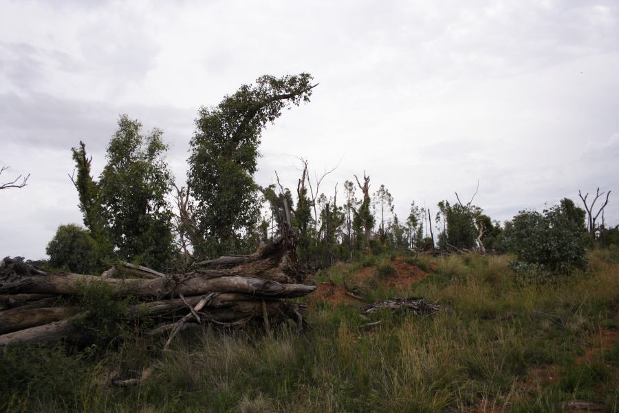 disasters storm_damage : 20km E of Coonabarabran, NSW   5 March 2007