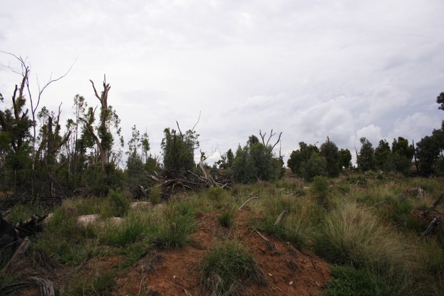 disasters storm_damage : 20km E of Coonabarabran, NSW   5 March 2007