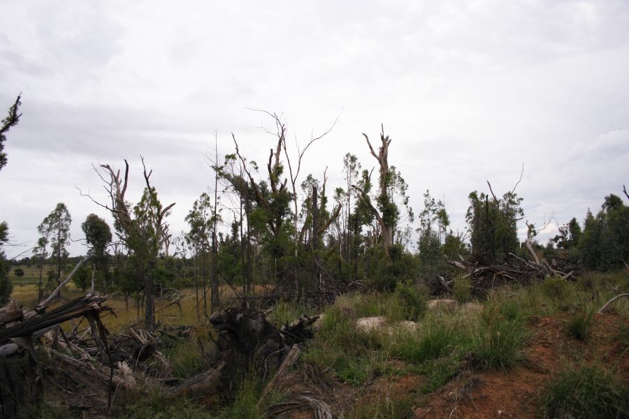 disasters storm_damage : 20km E of Coonabarabran, NSW   5 March 2007