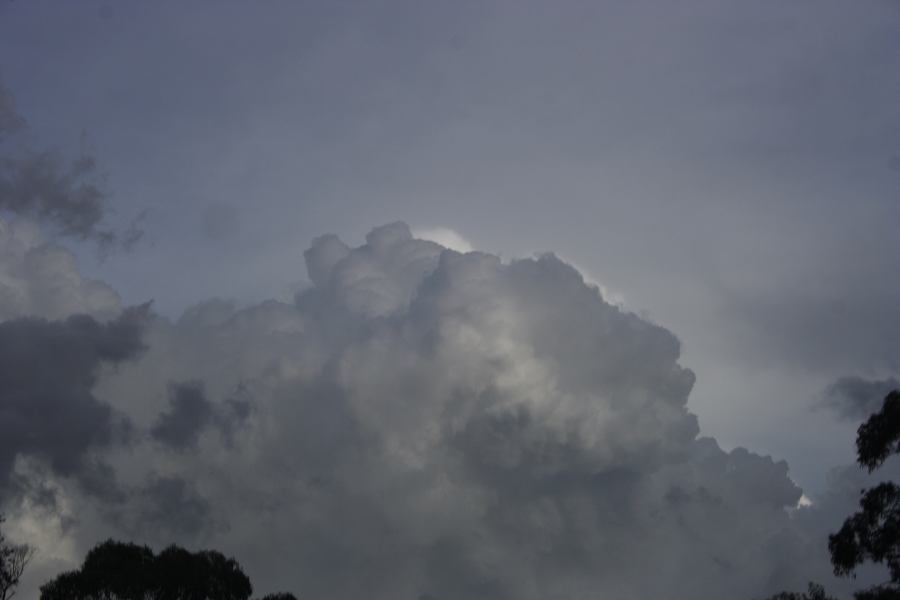 thunderstorm cumulonimbus_calvus : NNW of Lithgow, NSW   5 March 2007