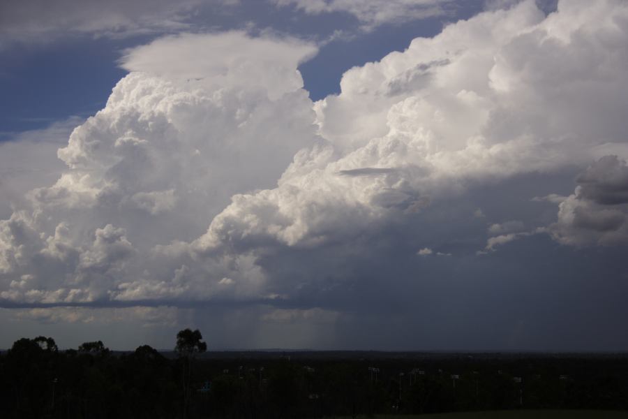 thunderstorm cumulonimbus_calvus : Rooty Hill, NSW   8 March 2007