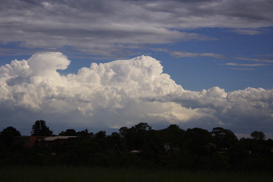 thunderstorm cumulonimbus_incus : Rooty Hill, NSW   8 March 2007