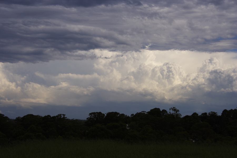 thunderstorm cumulonimbus_calvus : Rooty Hill, NSW   8 March 2007