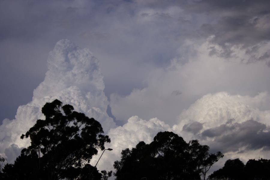 updraft thunderstorm_updrafts : near Sutherland, NSW   8 March 2007