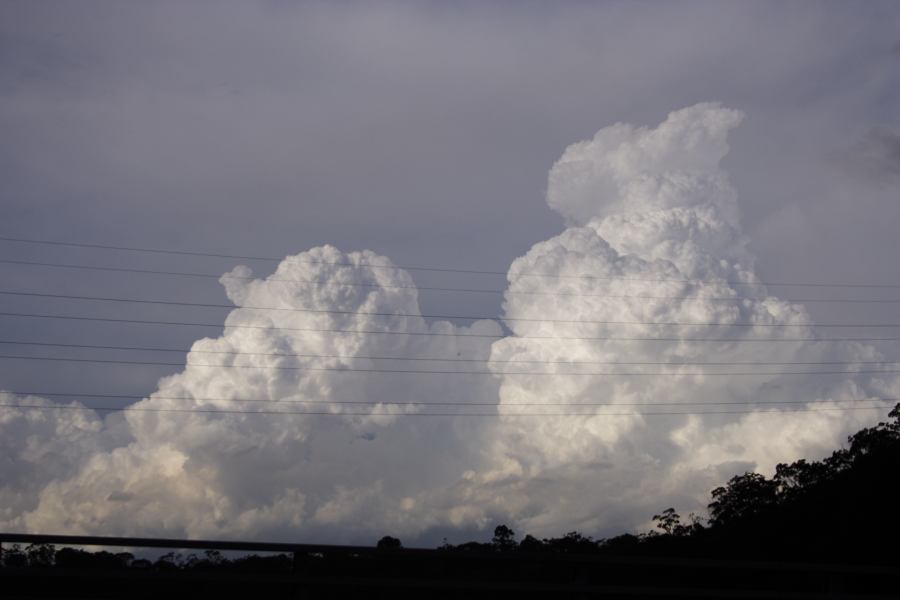 thunderstorm cumulonimbus_calvus : near Sutherland, NSW   8 March 2007