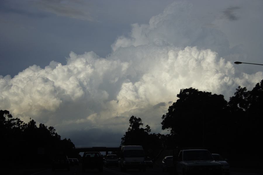 updraft thunderstorm_updrafts : near Padstow, NSW   8 March 2007