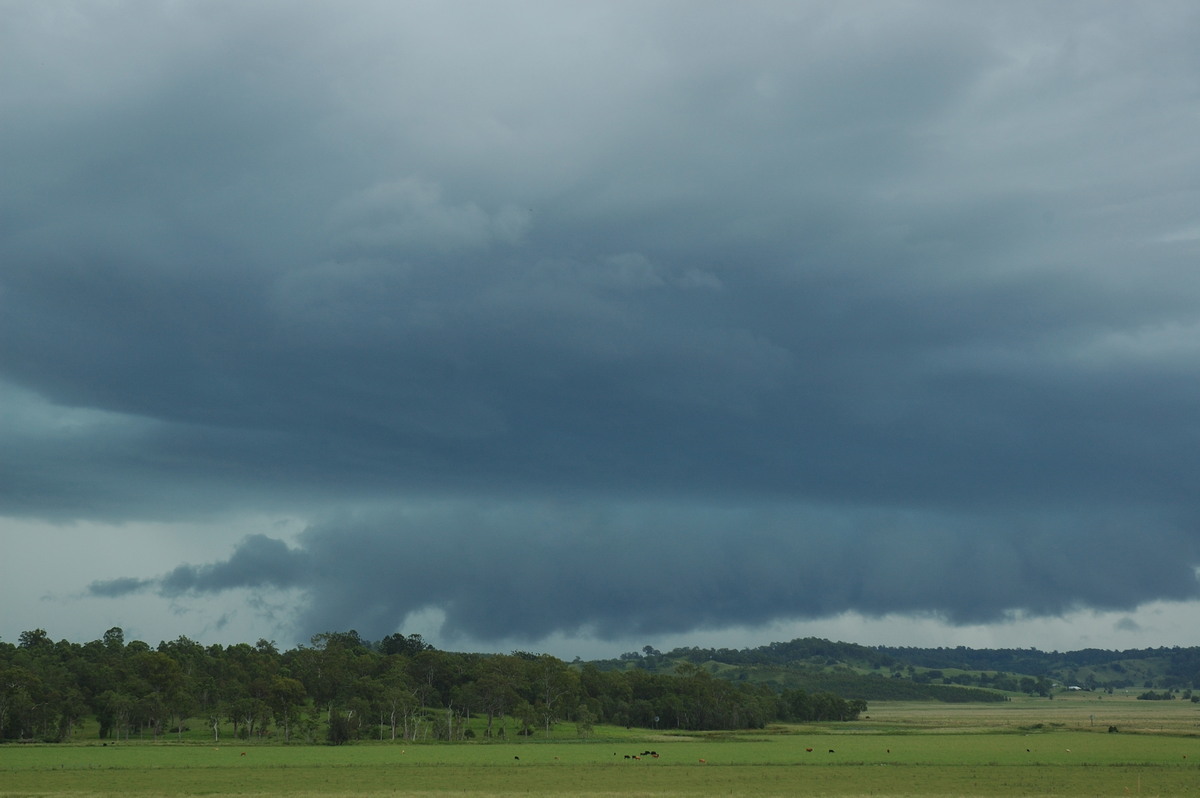 shelfcloud shelf_cloud : NW of Lismore, NSW   8 March 2007