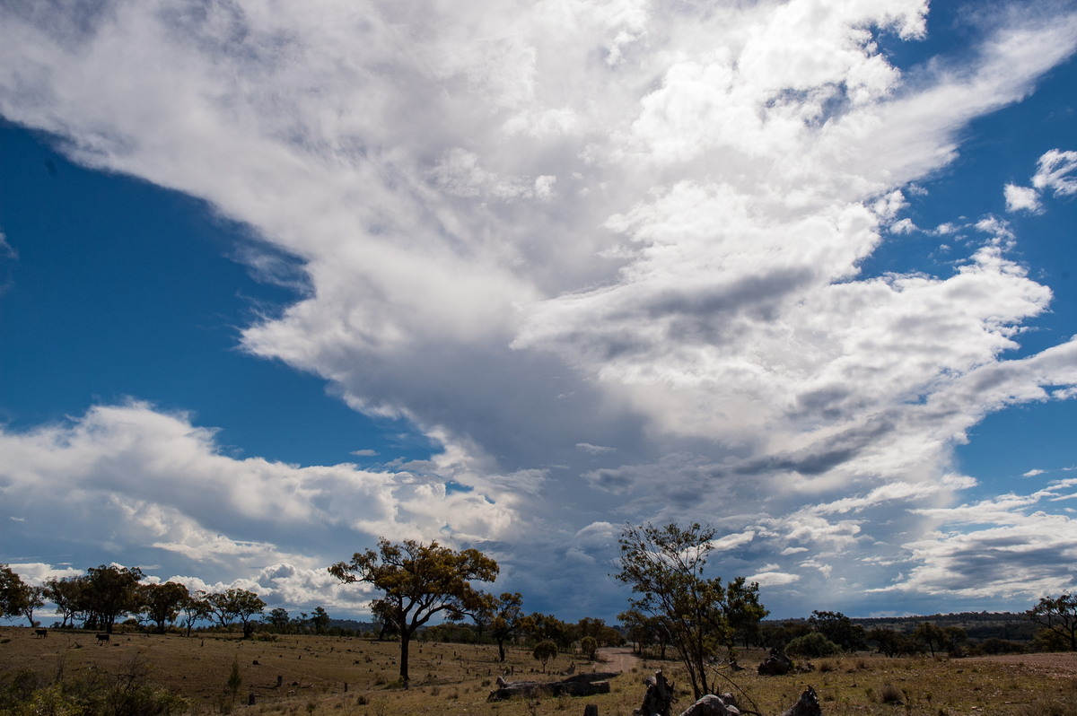 anvil thunderstorm_anvils : W of Tenterfield, NSW   25 March 2007