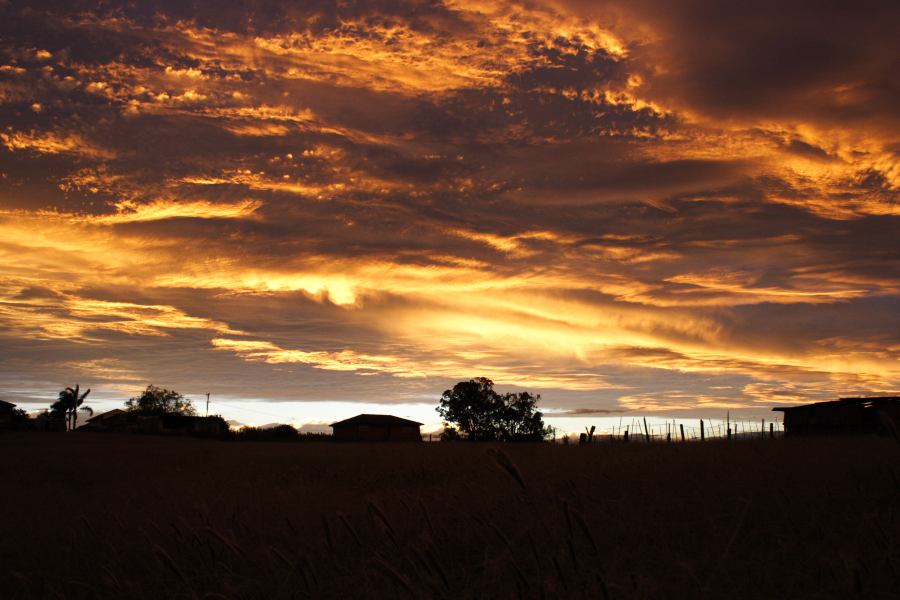 altostratus altostratus_cloud : Schofields, NSW   29 March 2007