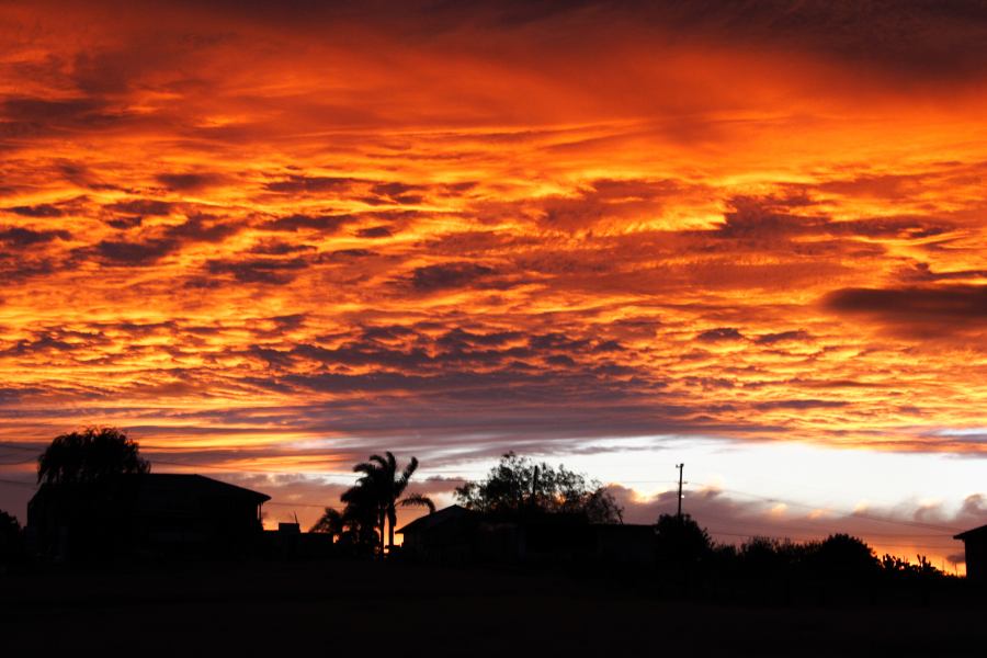 altocumulus altocumulus_cloud : Schofields, NSW   29 March 2007