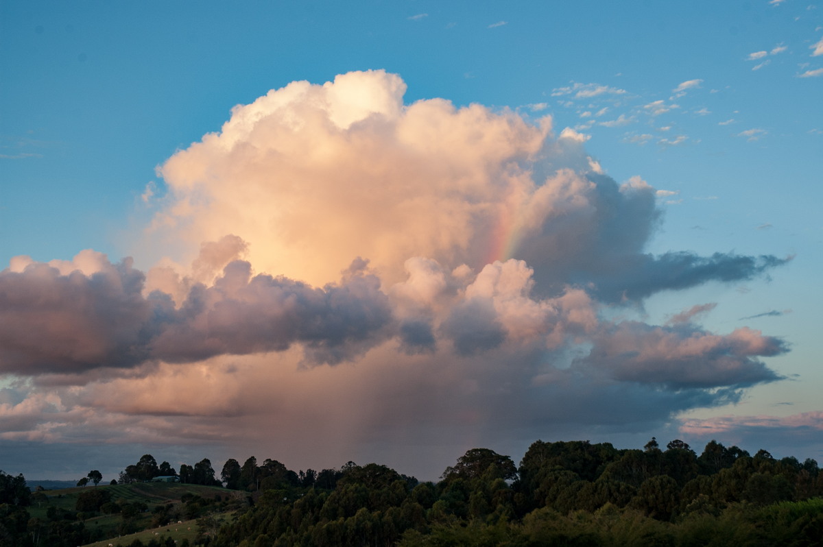 cumulus congestus : McLeans Ridges, NSW   4 April 2007