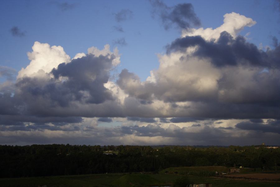 cumulus mediocris : Schofields, NSW   6 April 2007