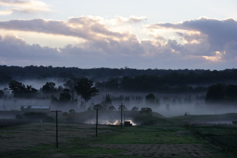 fogmist fog_mist_frost : Schofields, NSW   8 April 2007