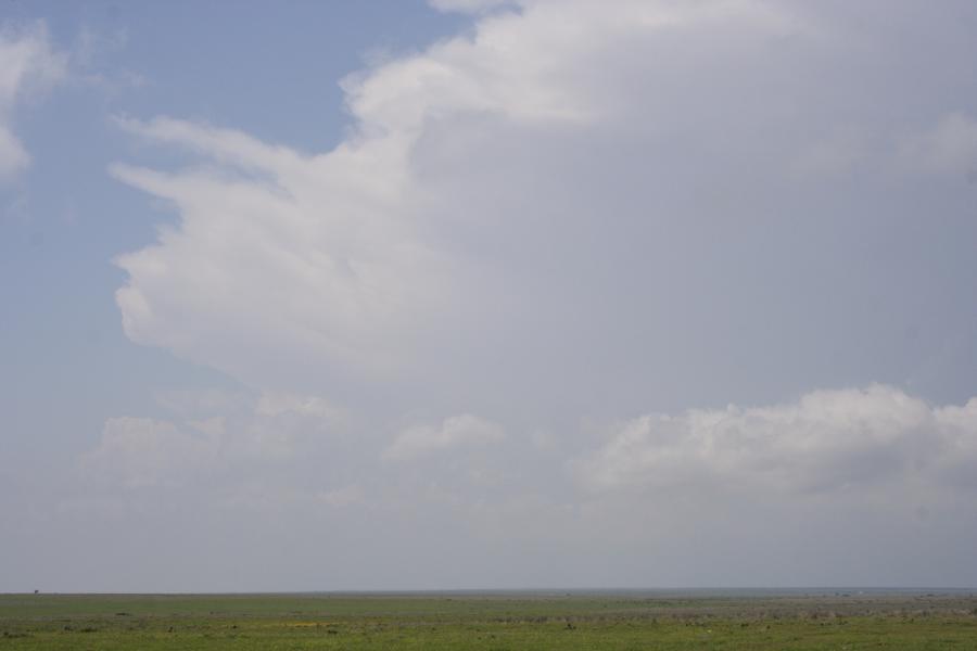 thunderstorm cumulonimbus_incus : SW of Seymour, Texas, USA   13 April 2007