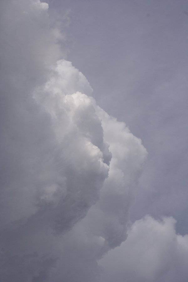 cumulonimbus supercell_thunderstorm : S of White Deer, Texas, USA   23 April 2007