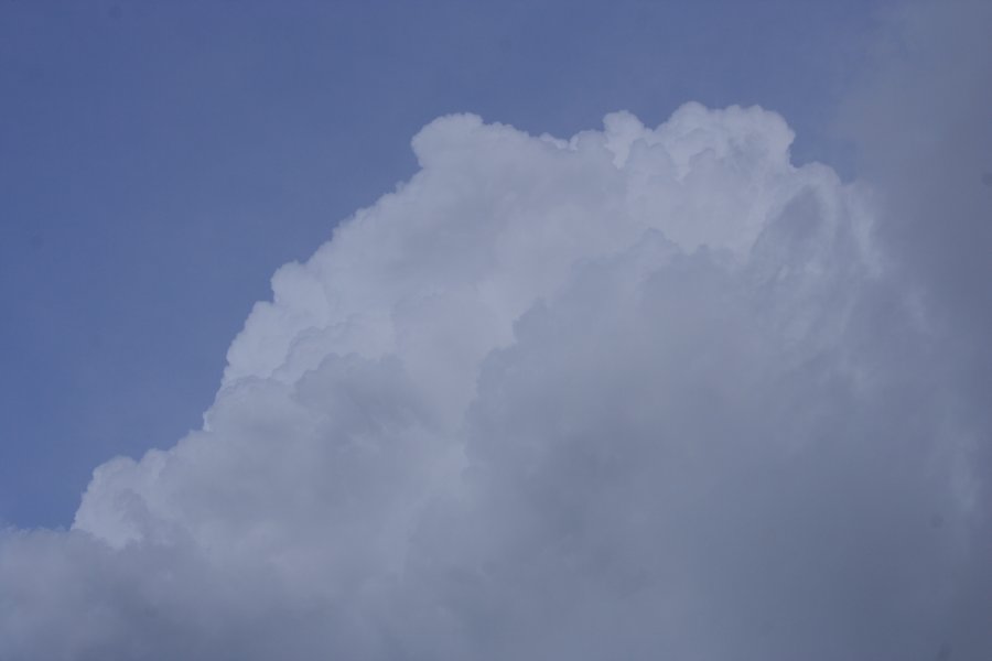 updraft thunderstorm_updrafts : Nickerson, Kansas, USA   24 April 2007