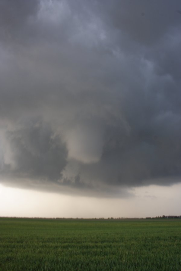 wallcloud thunderstorm_wall_cloud : Nickerson, Kansas, USA   24 April 2007