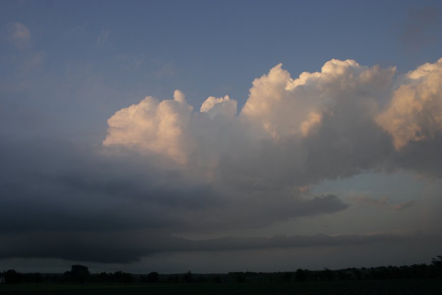 cumulus congestus : Hillsboro, Texas, USA   3 May 2007