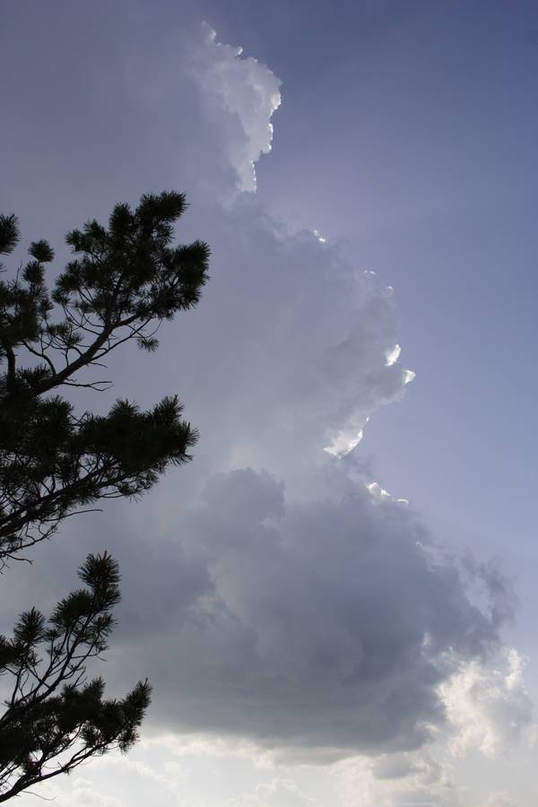 thunderstorm cumulonimbus_calvus : near Chappell, Nebraska, USA   16 May 2007