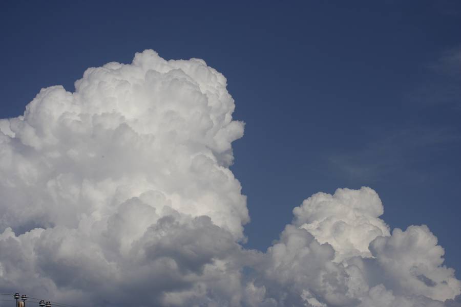 cumulus congestus : near Devil's Tower, Wyoming, USA   18 May 2007