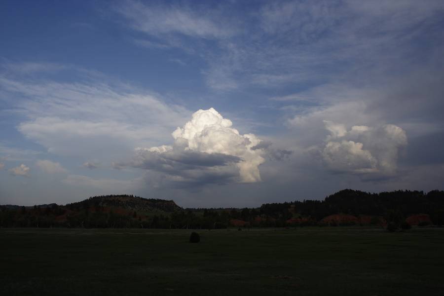 cumulus congestus : near Devil's Tower, Wyoming, USA   18 May 2007