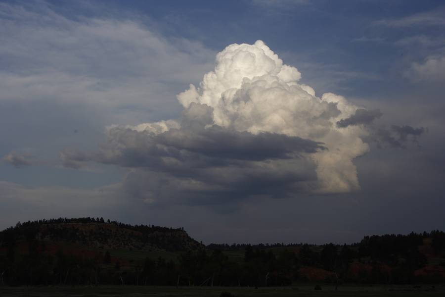 cumulus congestus : near Devil's Tower, Wyoming, USA   18 May 2007