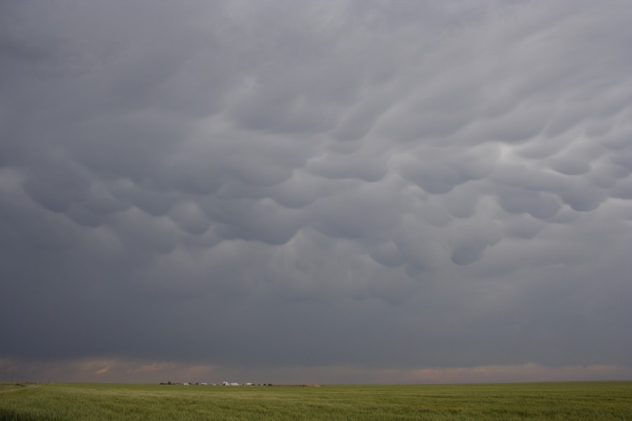 mammatus mammatus_cloud : Keyes, Oklahoma, USA   31 May 2007