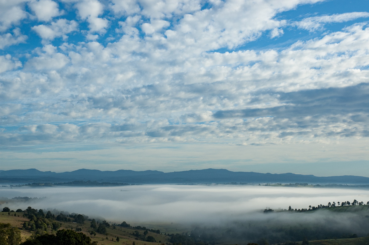 altocumulus altocumulus_cloud : McLeans Ridges, NSW   4 June 2007