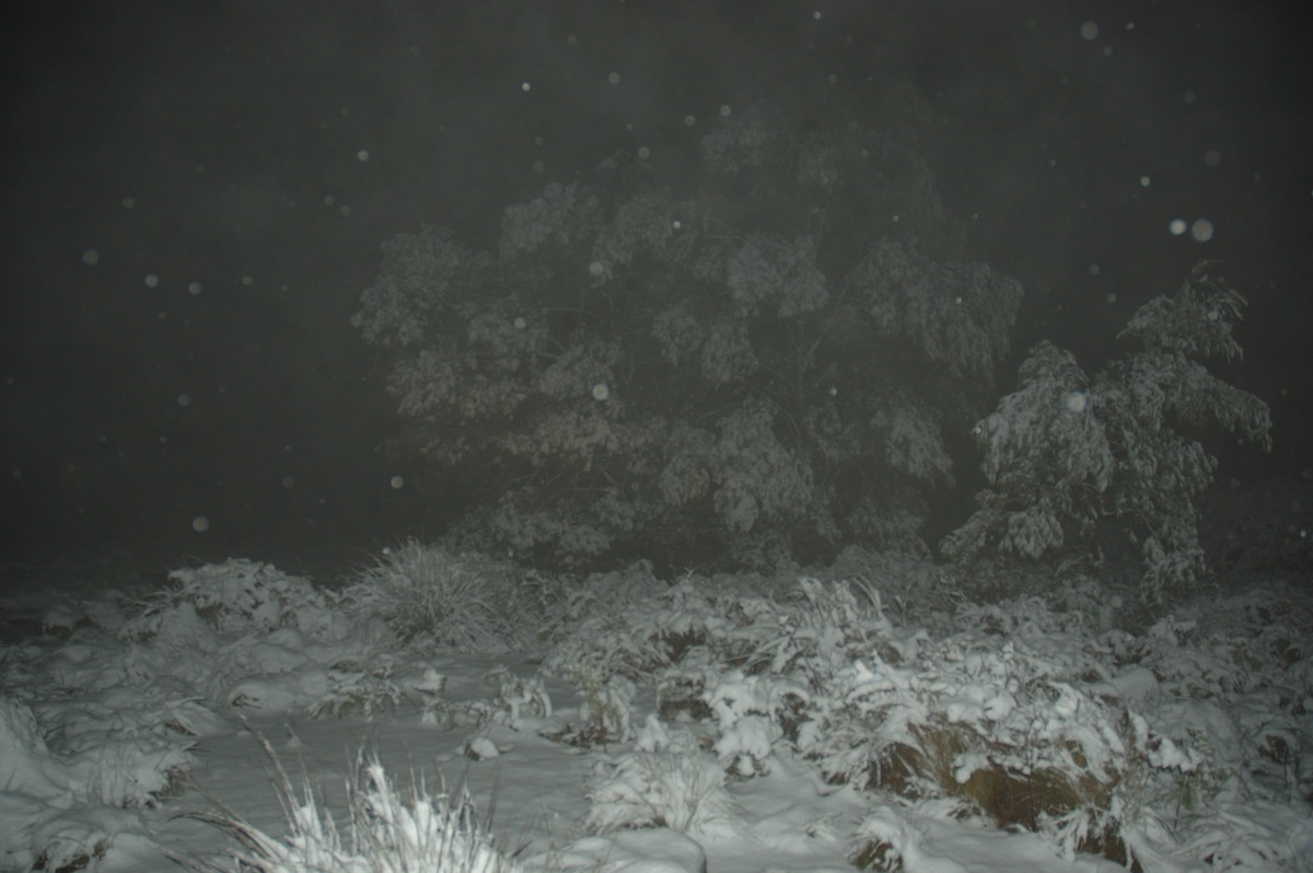 snow snow_pictures : near Tenterfield, NSW   8 June 2007