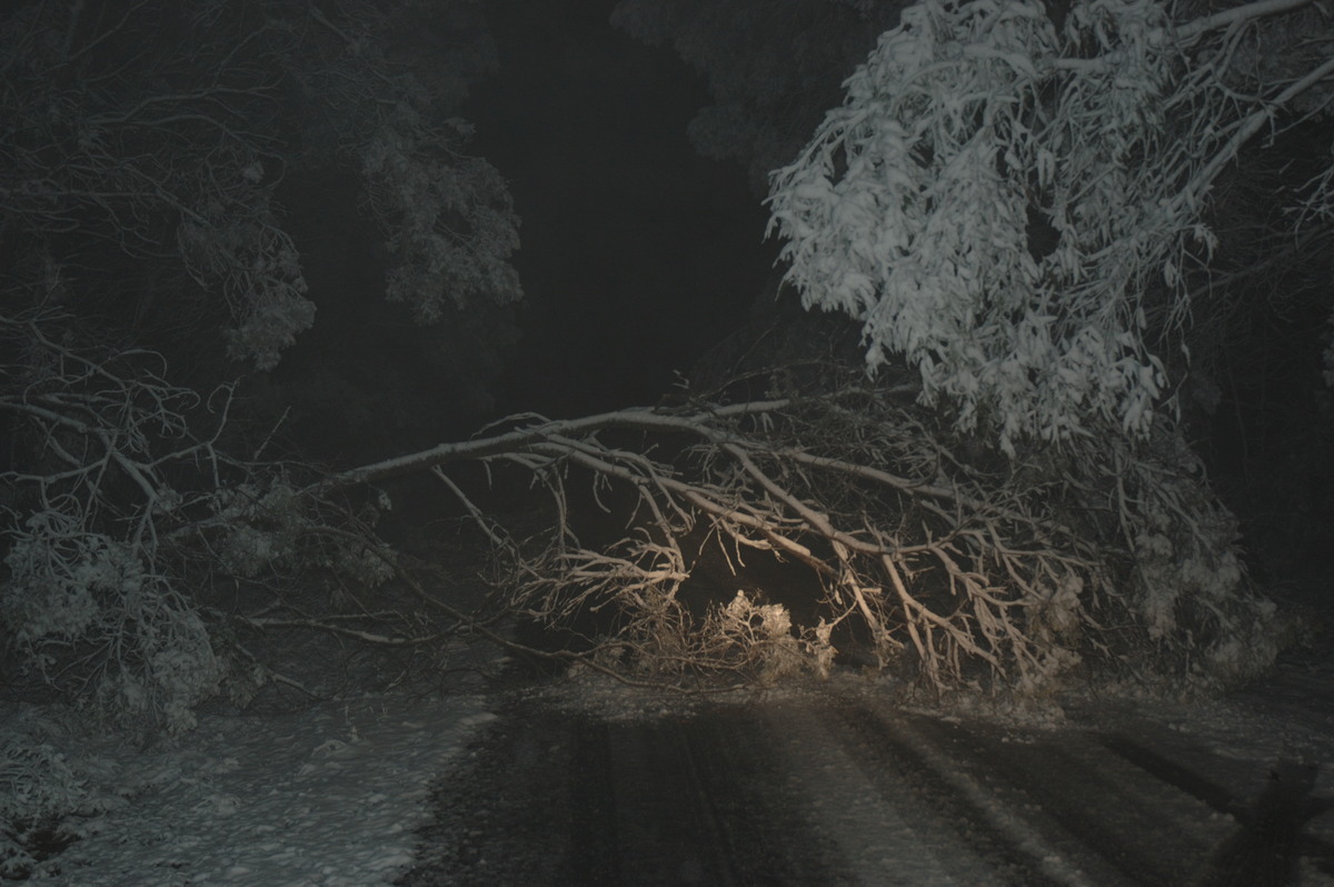 snow snow_pictures : near Tenterfield, NSW   9 June 2007