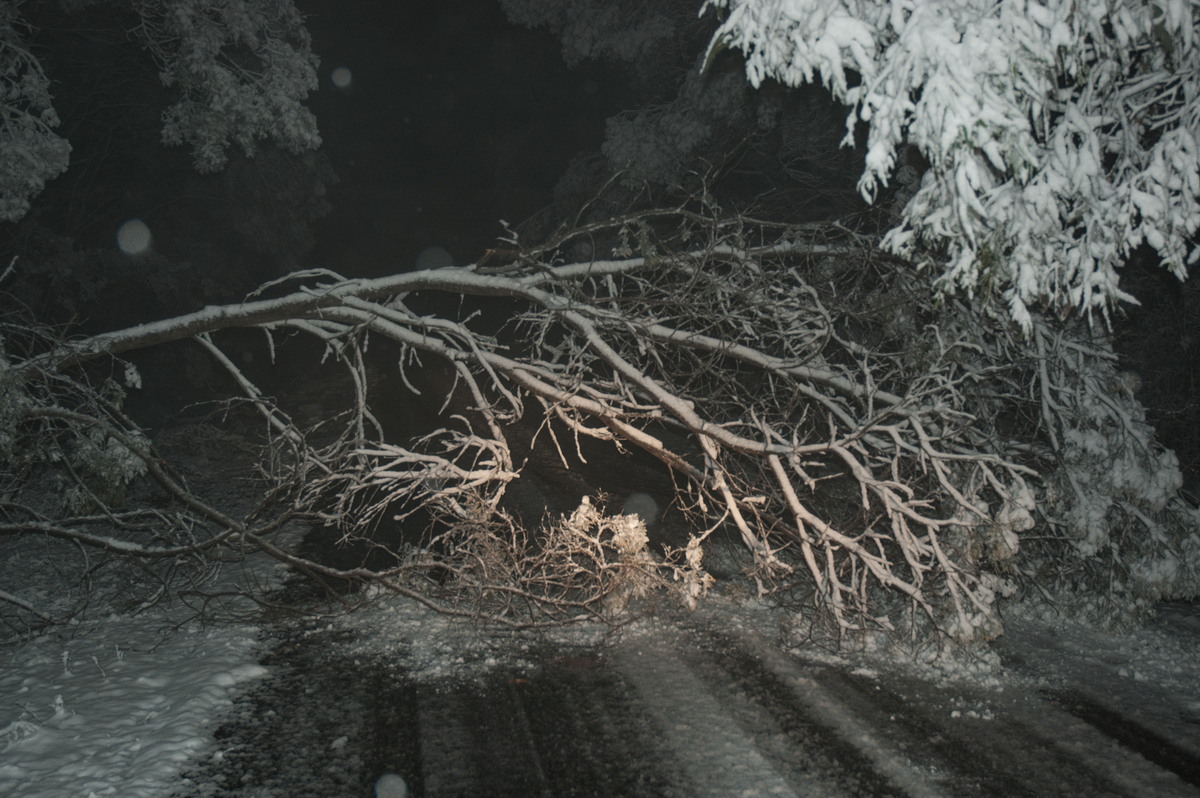 disasters storm_damage : near Tenterfield, NSW   9 June 2007