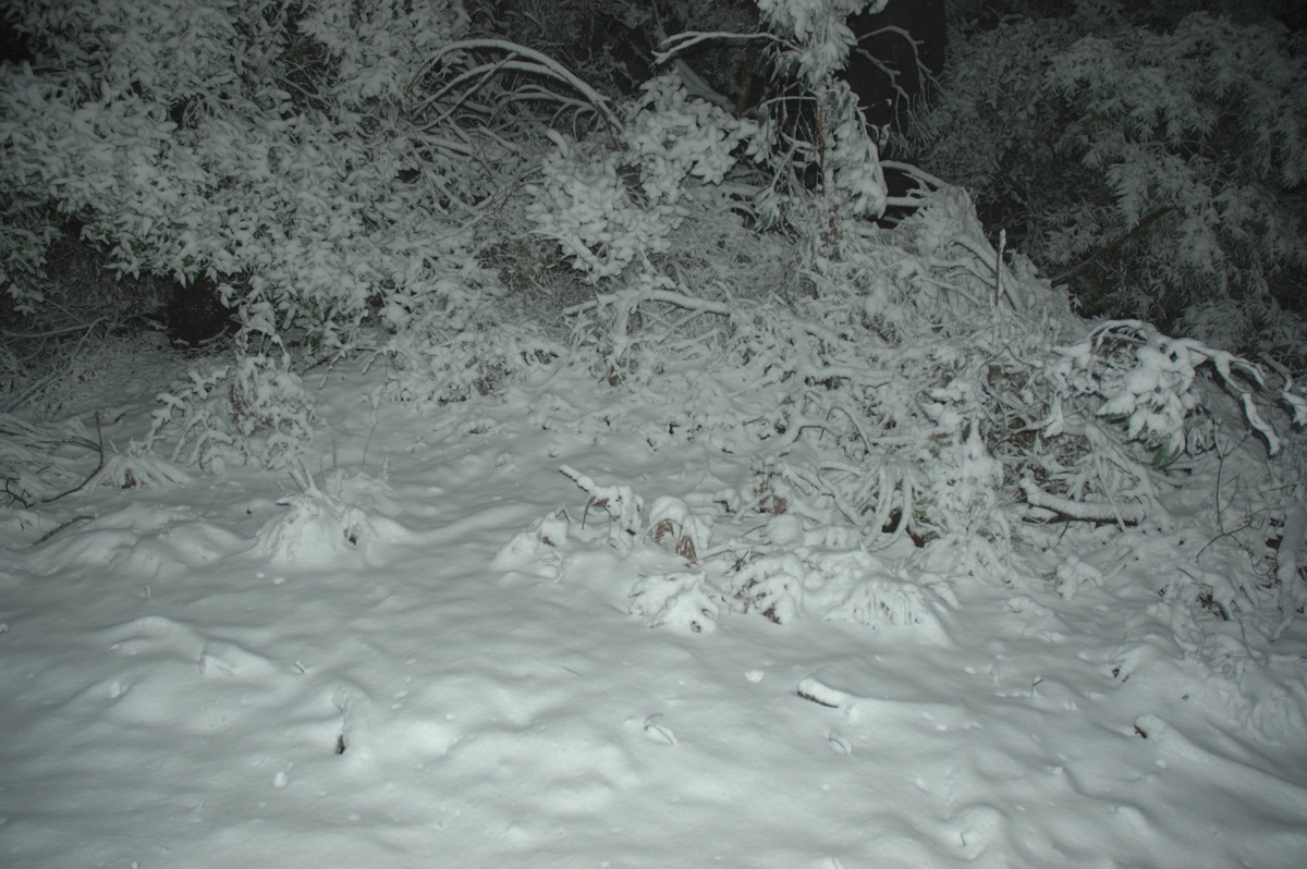 snow snow_pictures : near Tenterfield, NSW   9 June 2007