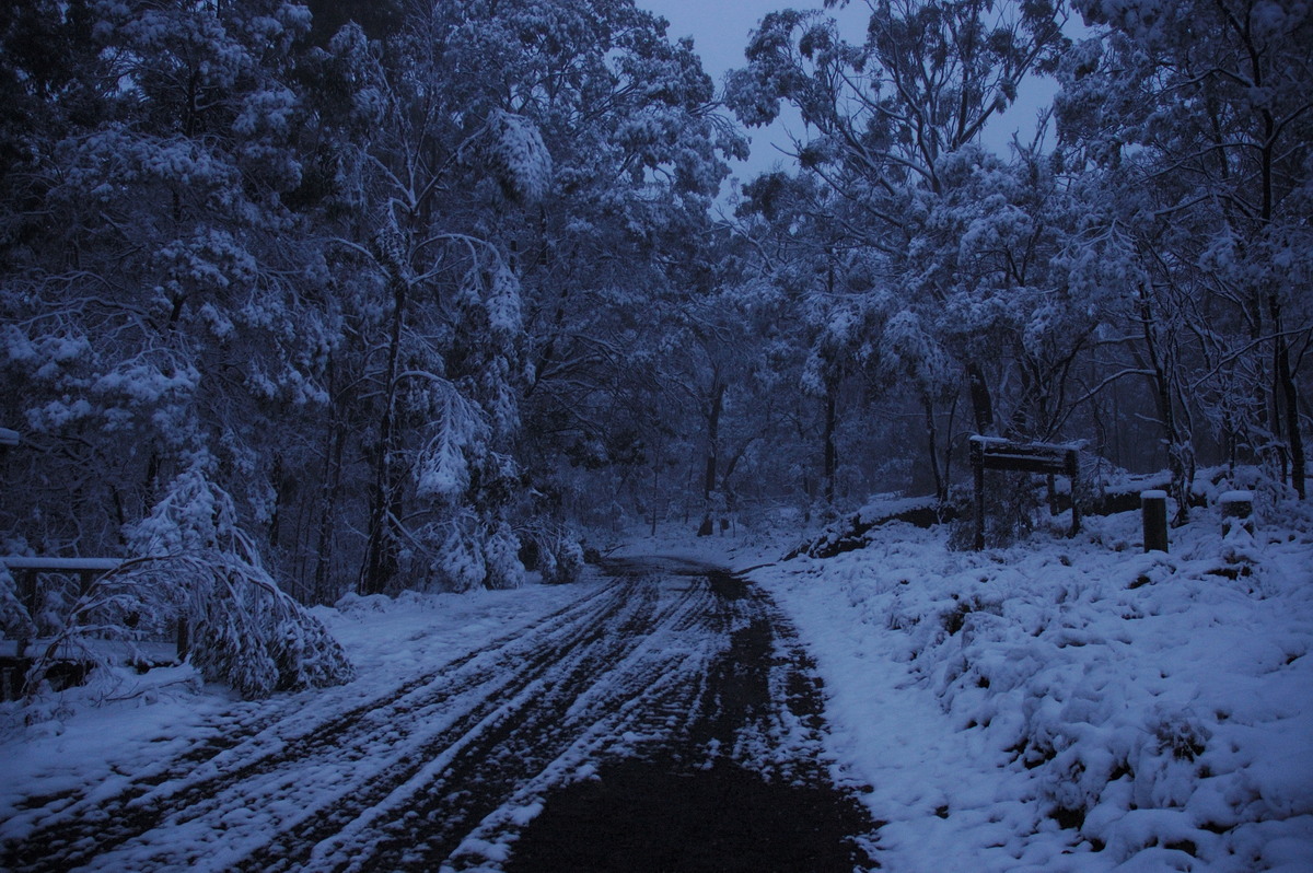 snow snow_pictures : near Tenterfield, NSW   9 June 2007