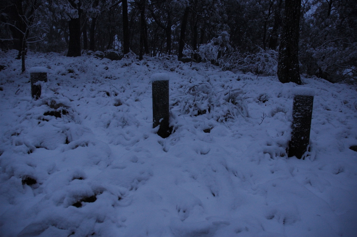 snow snow_pictures : near Tenterfield, NSW   9 June 2007