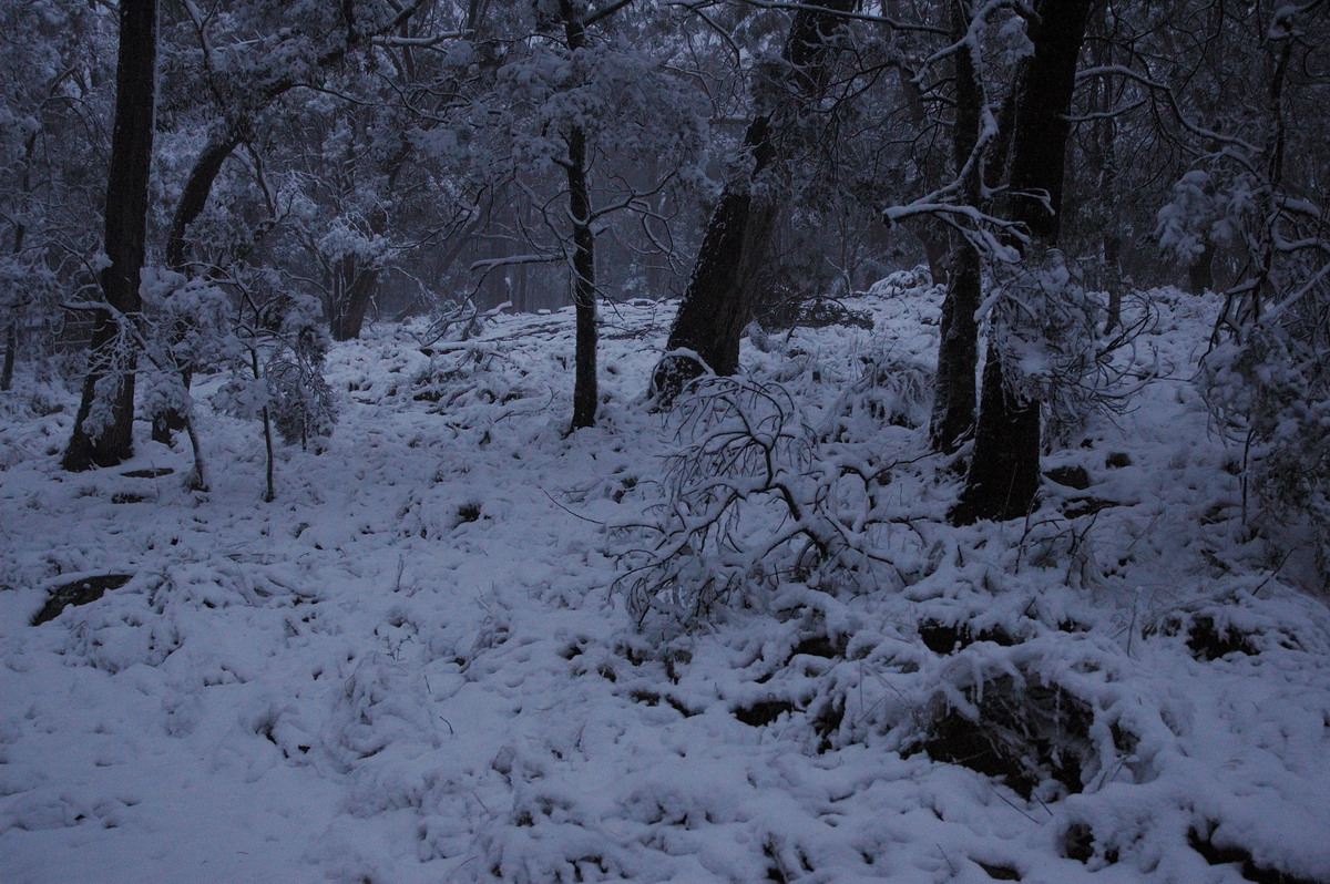 snow snow_pictures : near Tenterfield, NSW   9 June 2007