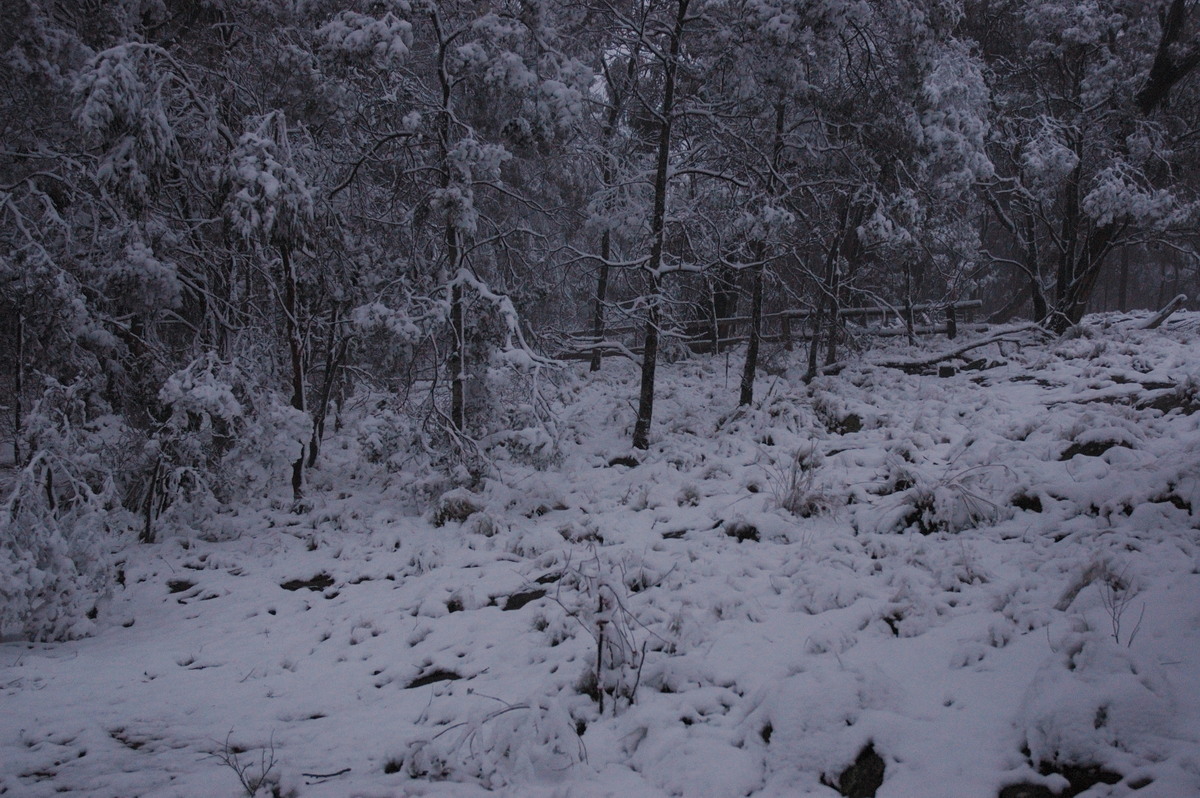 snow snow_pictures : near Tenterfield, NSW   9 June 2007