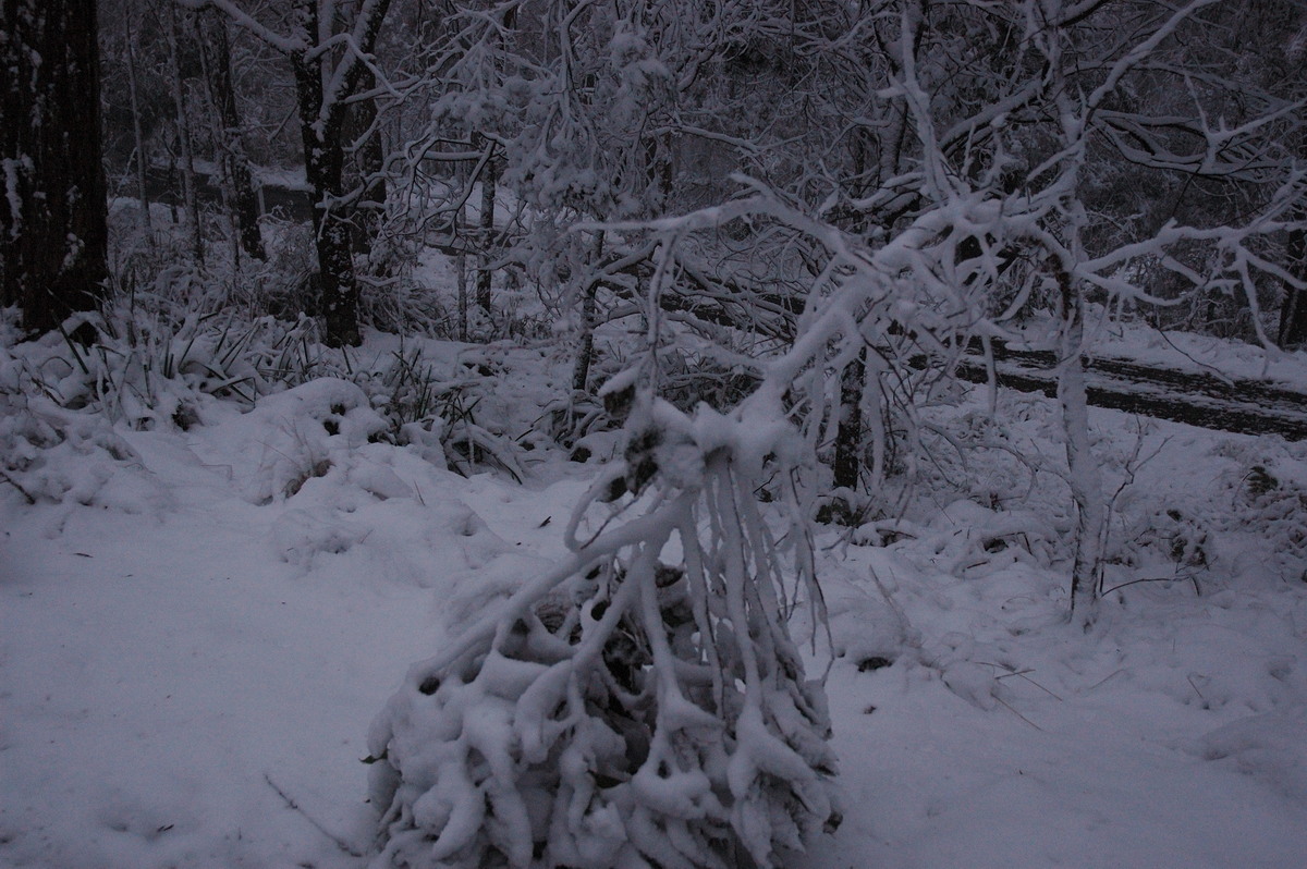 snow snow_pictures : near Tenterfield, NSW   9 June 2007