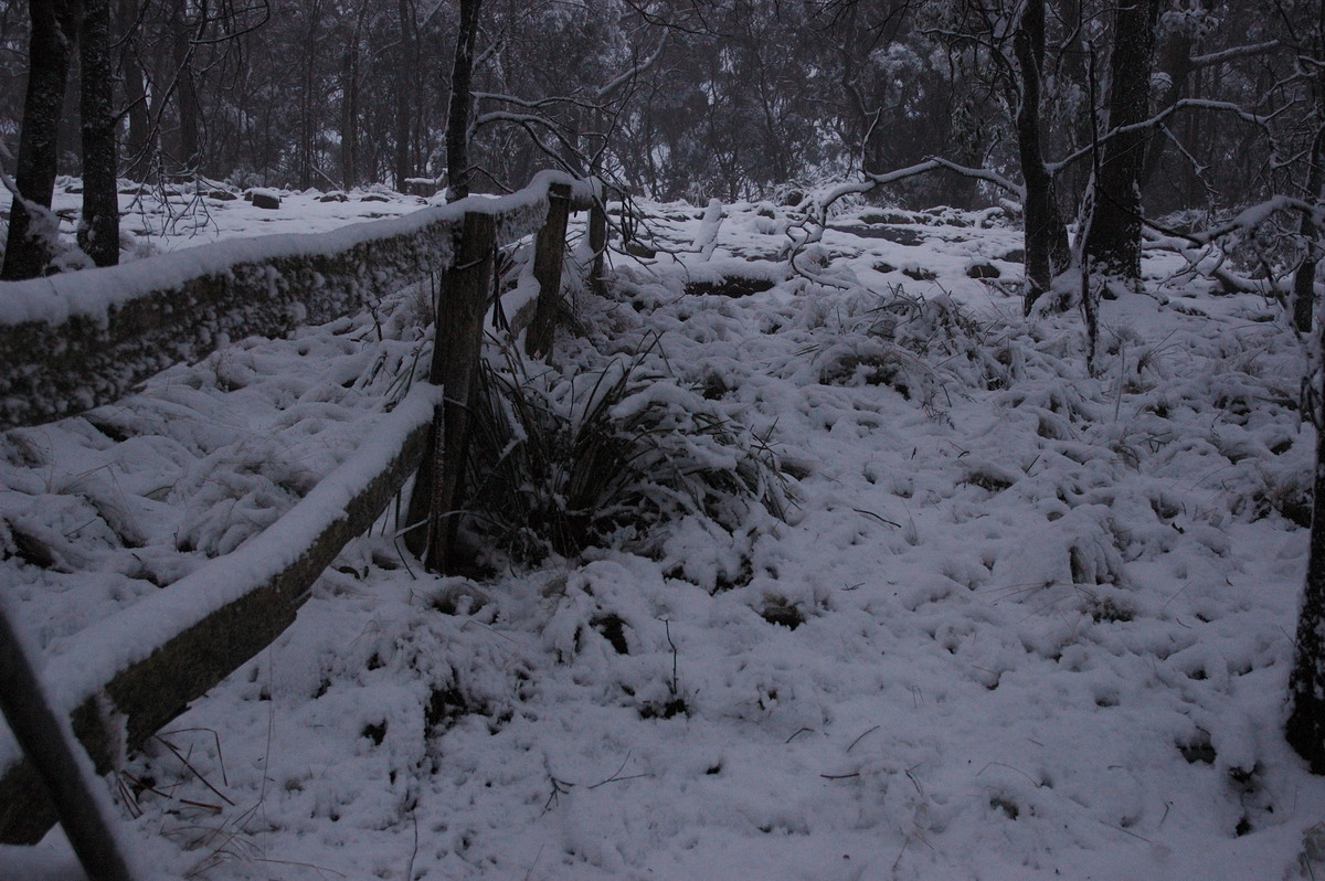 snow snow_pictures : near Tenterfield, NSW   9 June 2007