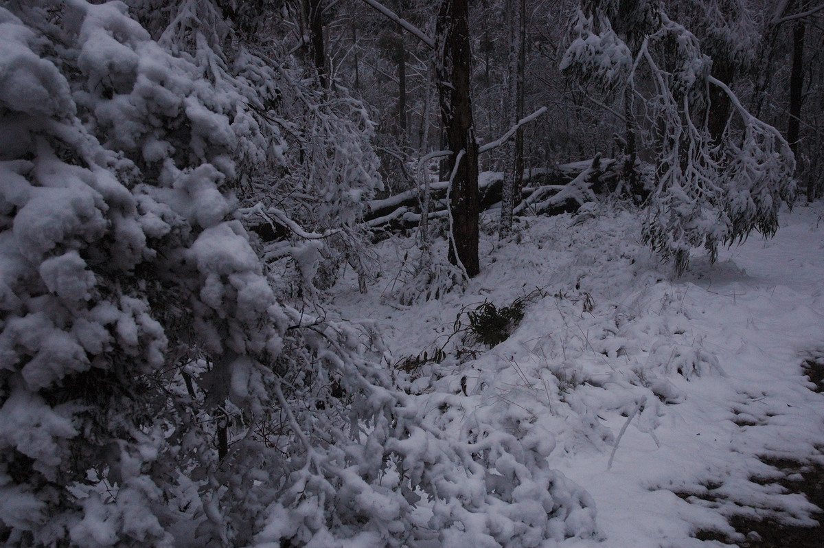 snow snow_pictures : near Tenterfield, NSW   9 June 2007