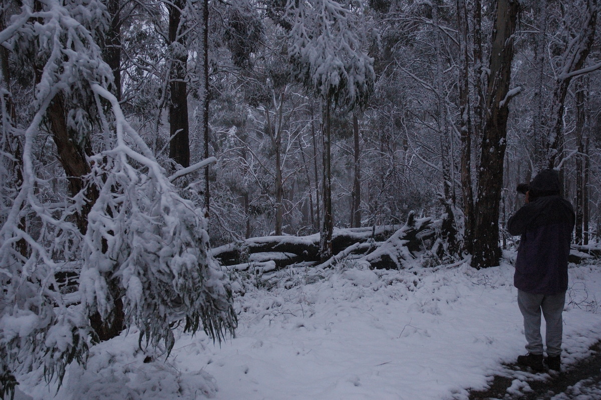 snow snow_pictures : near Tenterfield, NSW   9 June 2007