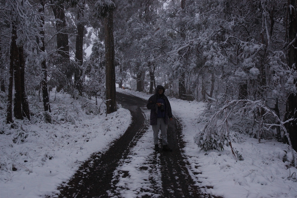 snow snow_pictures : near Tenterfield, NSW   9 June 2007