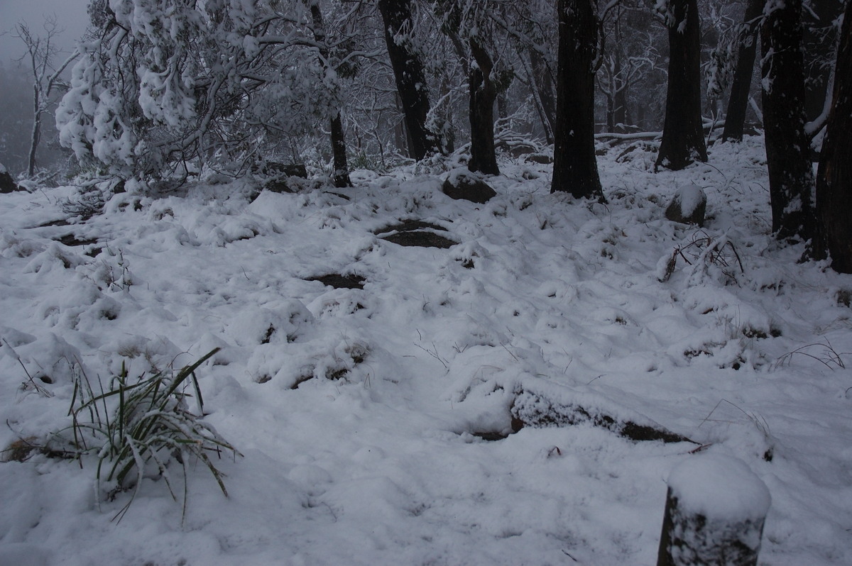 snow snow_pictures : near Tenterfield, NSW   9 June 2007