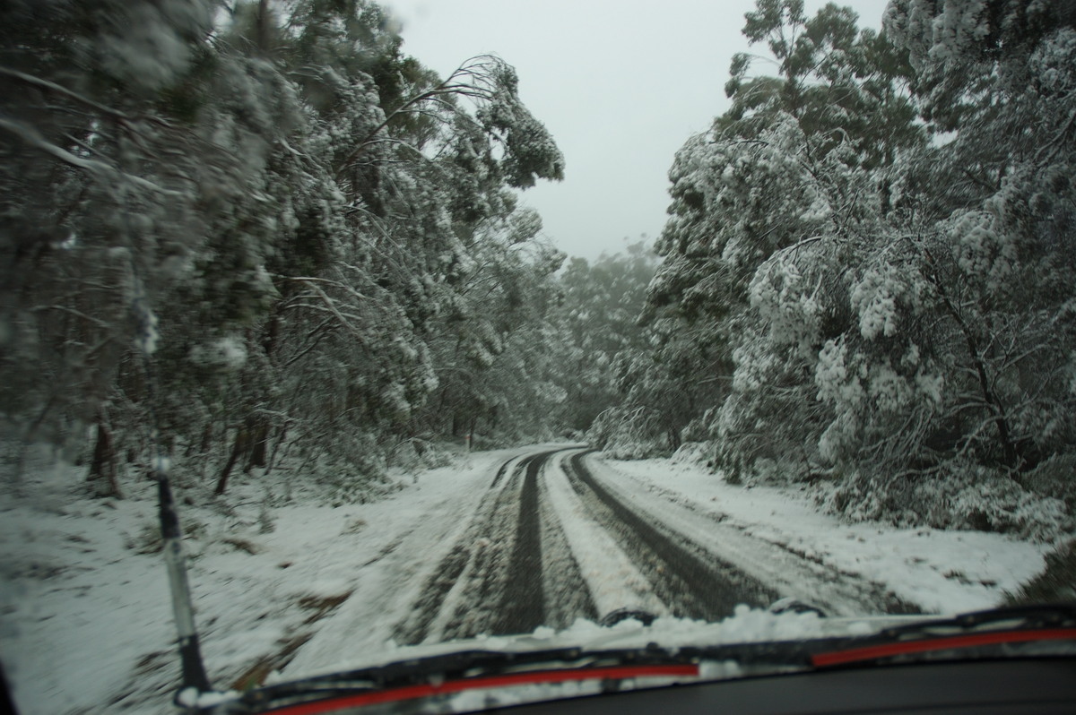 snow snow_pictures : near Tenterfield, NSW   9 June 2007