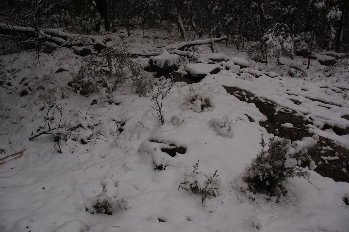 snow snow_pictures : near Tenterfield, NSW   9 June 2007