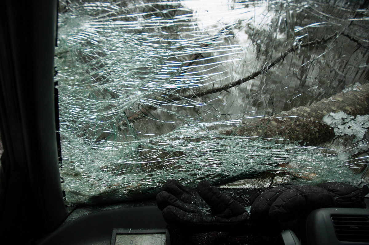 disasters storm_damage : near Tenterfield, NSW   9 June 2007